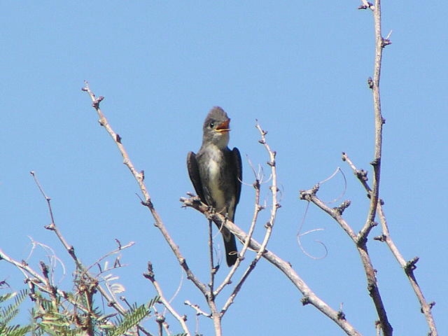 �i�L�q�^�L���h�L