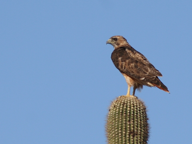 �A�J�I�m�X��