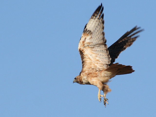 �A�J�I�m�X��