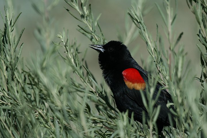 �n�S�����K���X