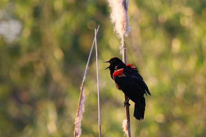 �n�S�����K���X