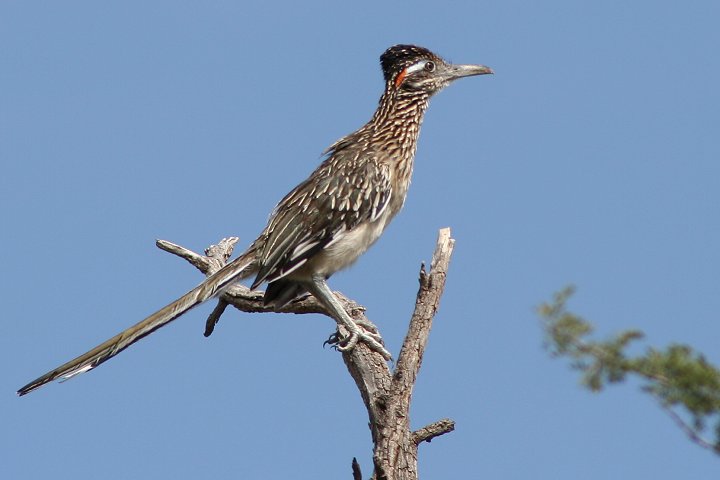 �I�I�~�`�o�V��