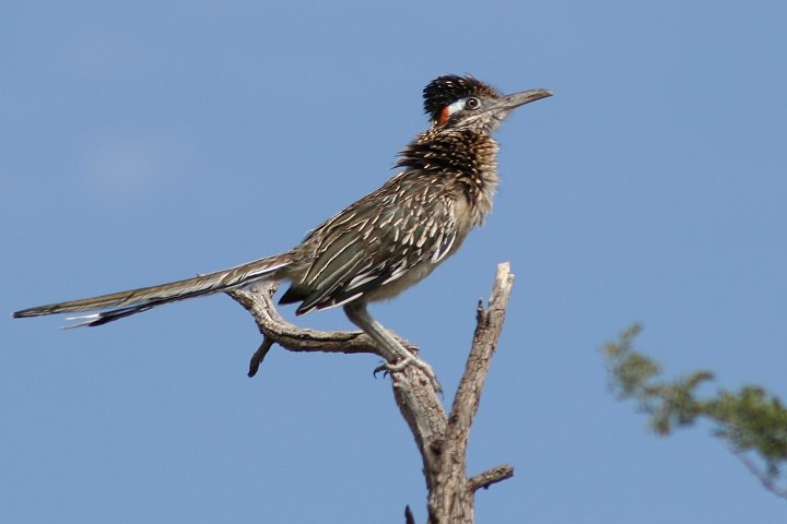 �I�I�~�`�o�V��