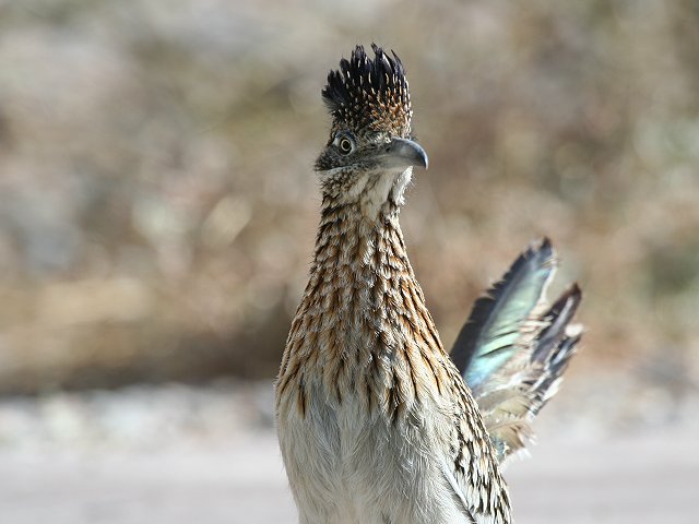 �I�I�~�`�o�V��