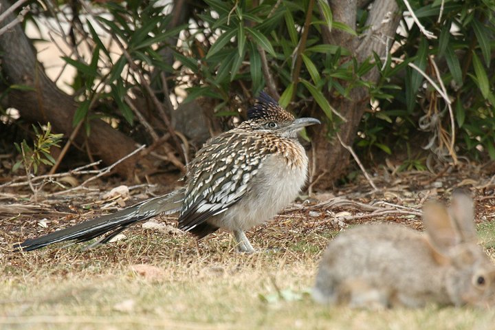 �I�I�~�`�o�V��