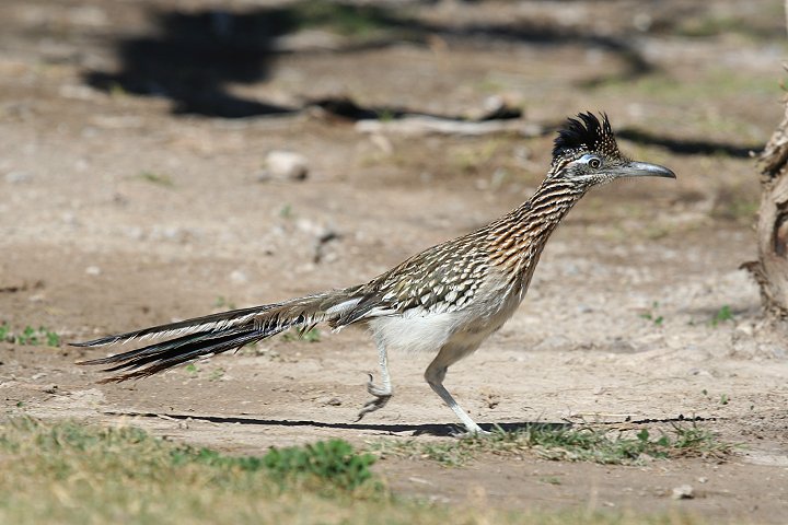 �I�I�~�`�o�V��