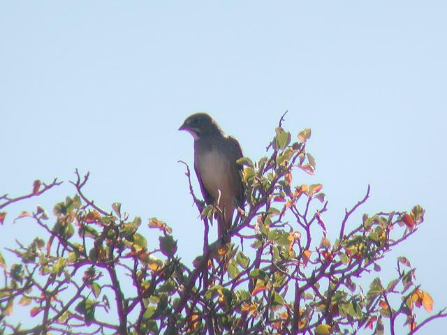 �Y�A�J�X�Y�����h�L