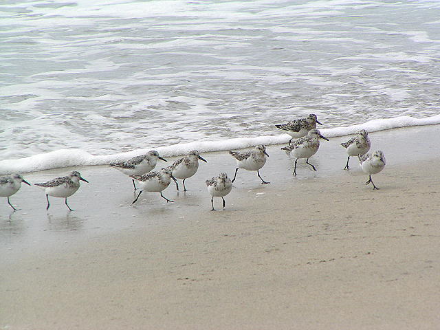 �~���r�V�M