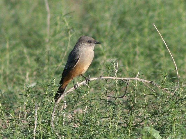 �`���C���c�L�^�C�����`���E