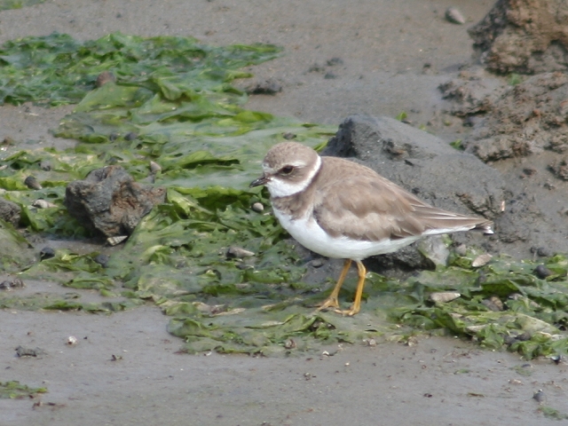 �~�Y�J�L�`�h���i�c���j