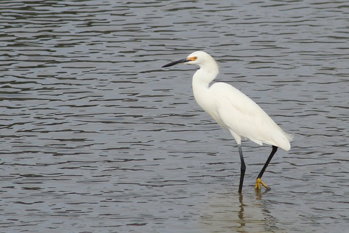 ���L�R�T�M