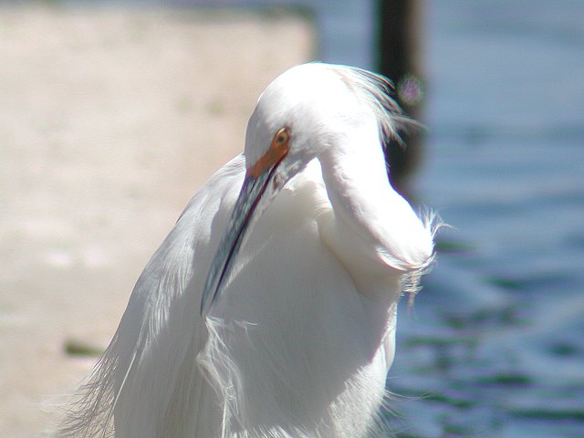 ���L�R�T�M