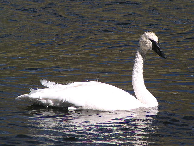 �i�L�n�N�`���E