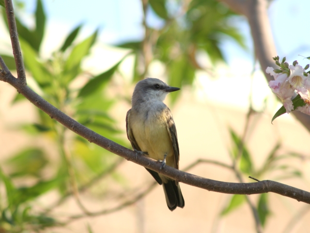 �j�V�^�C�����`���E