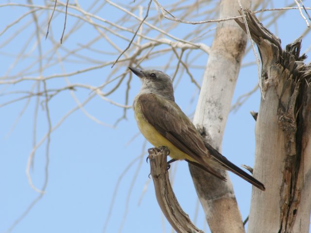 �j�V�^�C�����`���E