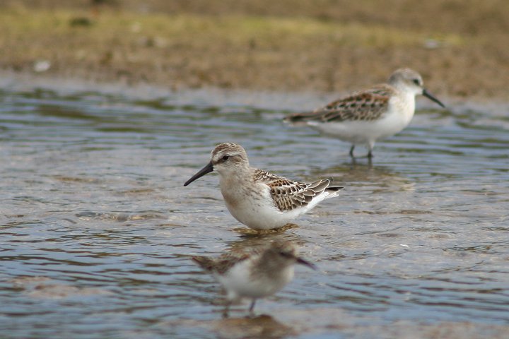 �q���n�}�V�M