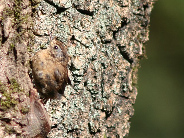 �~�\�T�U�C�i�c���H�j