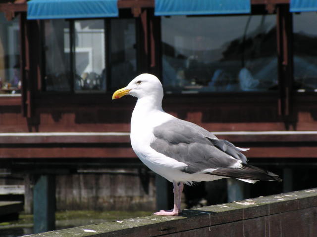 �A�����J�I�I�Z�O���J����