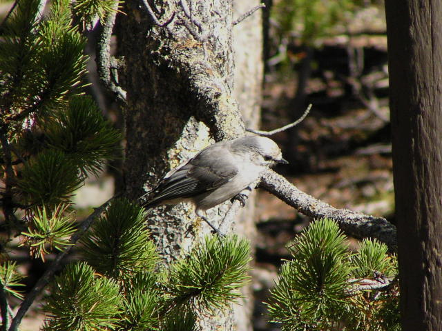 �J�i�_�J�P�X