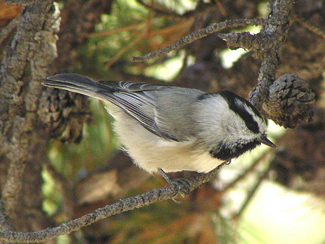 �}�~�W���R�K��