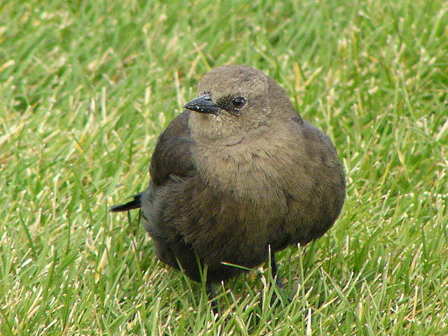 �R�E�E�`���E